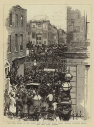 The Royal Review of the Troops from Egypt, the Troops passing through Trafalgar Square, seen from Spring Gardens